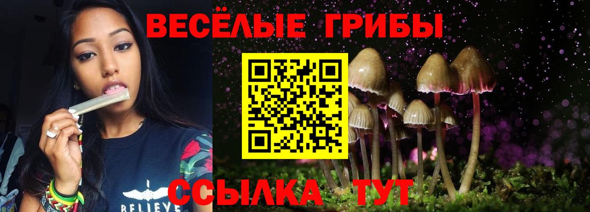 Псилоцибиновые грибы Psilocybine cubensis Сердобск