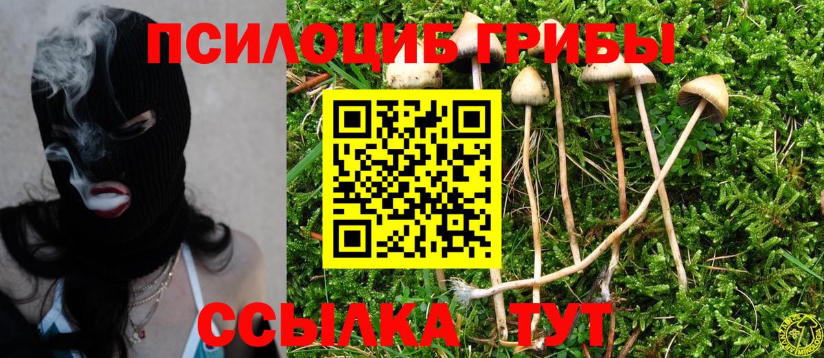 Псилоцибиновые грибы Magic Shrooms  Вход с VPN  Сердобск 