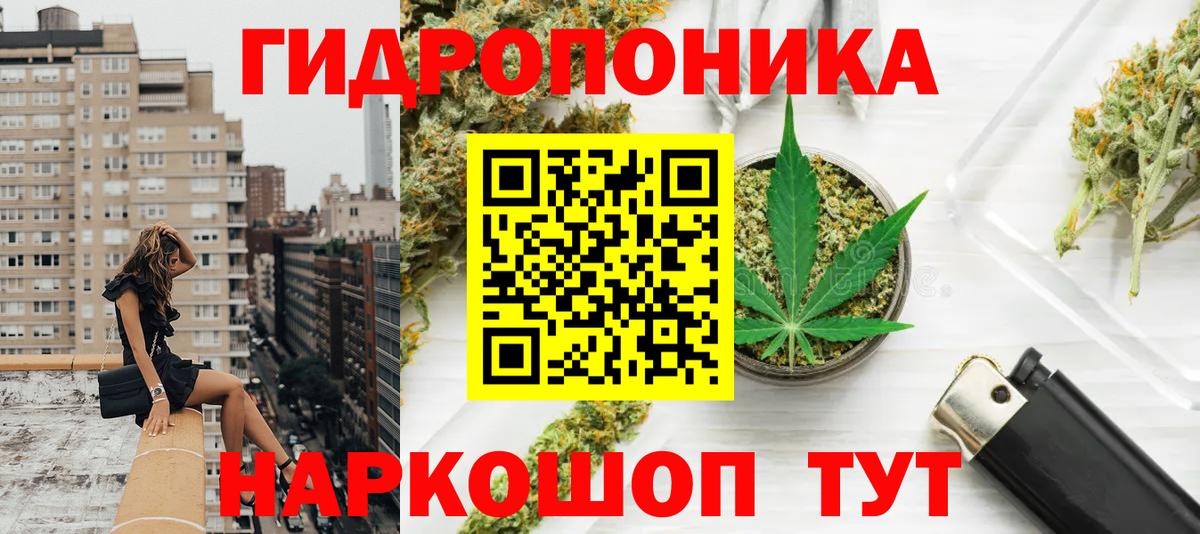 Бошки Шишки индика  Вход с VPN  Сердобск  Каннабис план  Шишки марихуана индика  Шишки марихуана конопля 